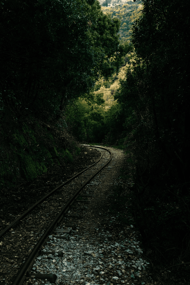 Milies Train Tracks